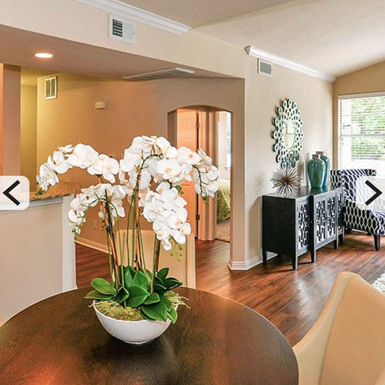 Spacious Dining Area